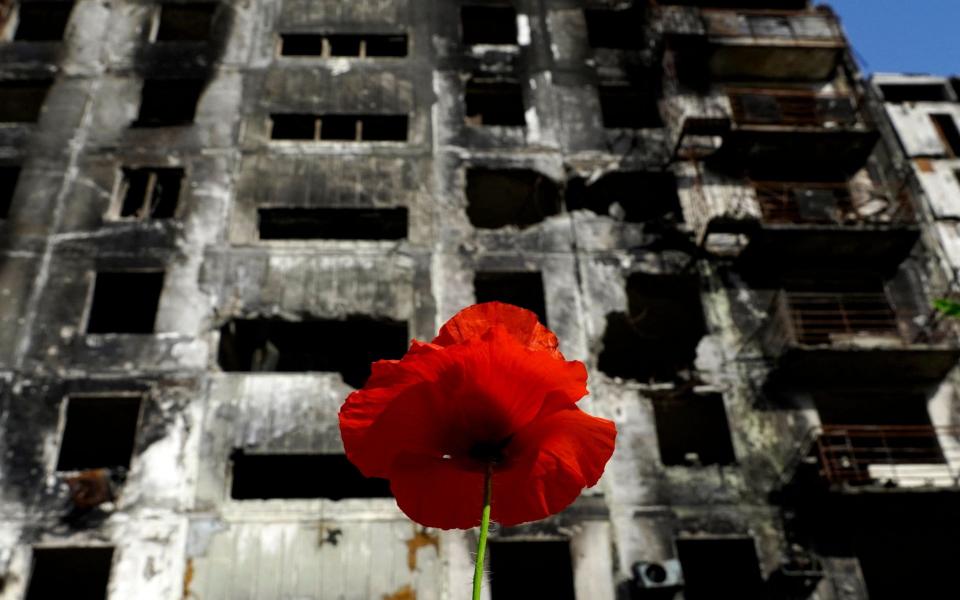 A red poppy flower stands in front of a destroyed residential building in Mariupol  - STRINGER/AFP