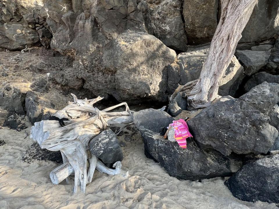 The writer's beach bag on a pile of volcanic rocks on hapuna beach