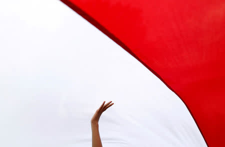 A person holds up part of a large Indonesian flag as participants take part in a rally against what they see as growing racial and religious intolerance in the world's largest Muslim-majority country, in Jakarta, Indonesia November 19, 2016. REUTERS/Darren Whiteside