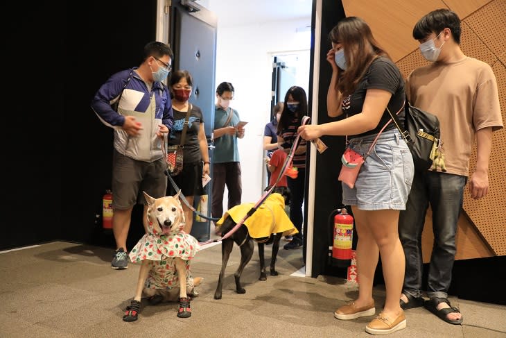 汪星人圖書館初體驗　主人偕毛小孩入高市圖聽講座