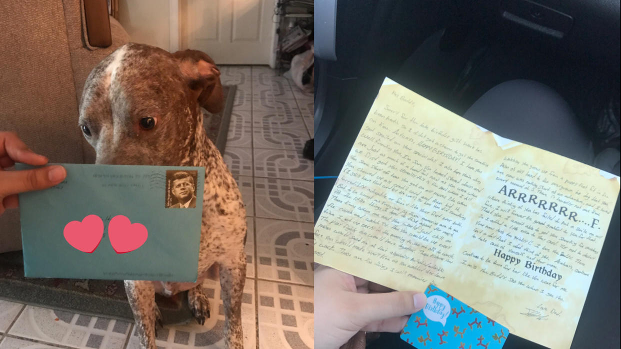 Birthday cards sent to Rebecca Hernandez's dog from her ex, Frankie. Photo from Twitter