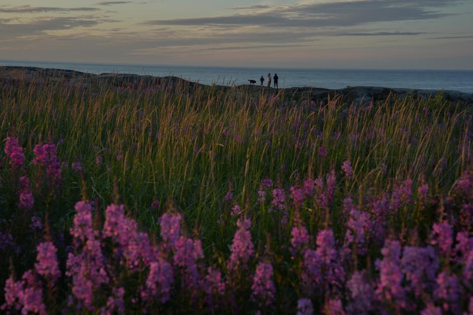 A family stands near the Hudson Bay, Saturday, Aug. 3, 2024, in Churchill, Manitoba. (AP Photo/Joshua A. Bickel)