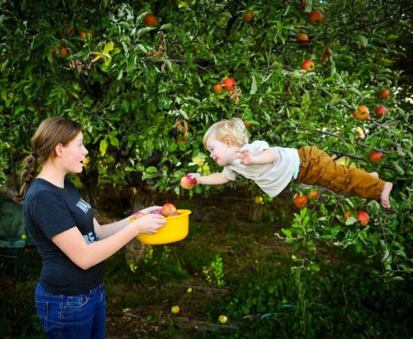 wil can fly picking apples