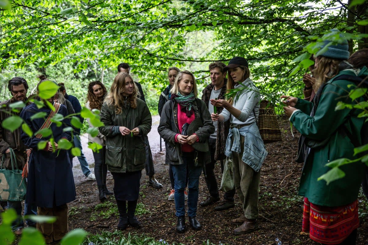 Foraging guided tours are becoming popular across Hampstead Heath. (Alamy)