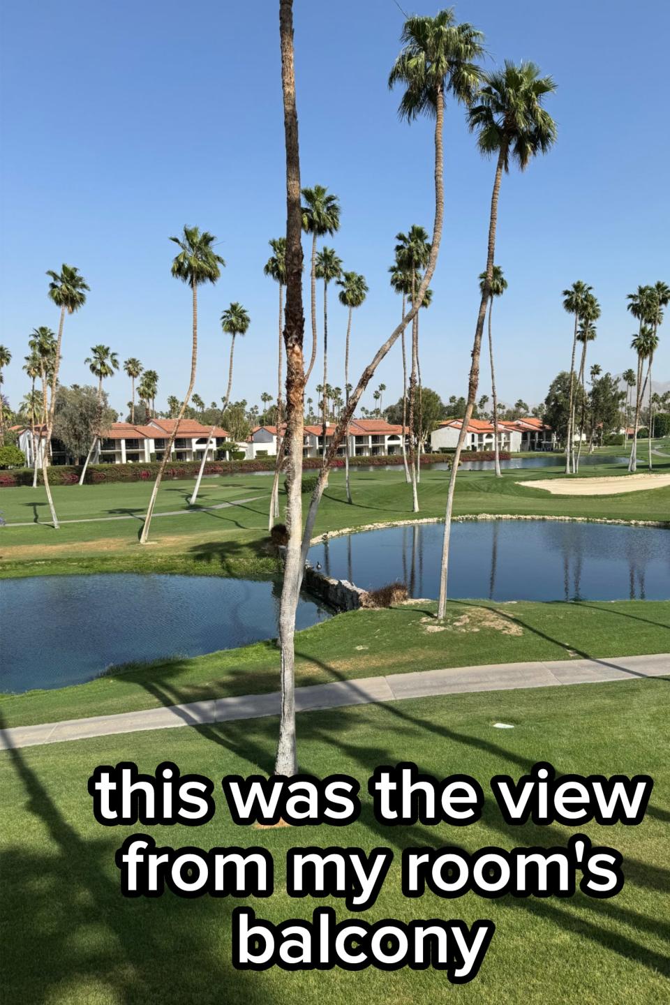 View of a tranquil golf course with palm trees and a pond, under a clear sky