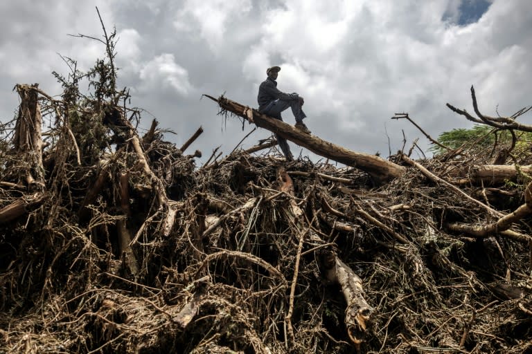 Un homme assis sur un tronc d'arbre dans une zone dévastée par des crues soudaines et des glissements de terrain à Mai Mahiu, le 30 avril 2024 au Kenya  (AFP - LUIS TATO)