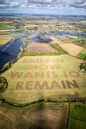 The words "Britain now wants to remain" cut by anti-Brexit group Led By Donkeys are seen in a field near Swindon