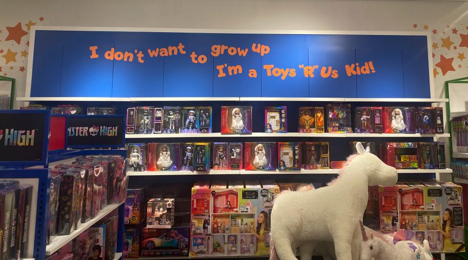 A sign that says, "I don't wan't to grow up. I'm a Toys 'R' Us kid."