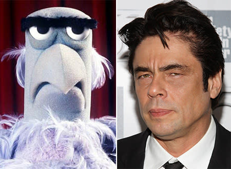 celebrity look alike muppets