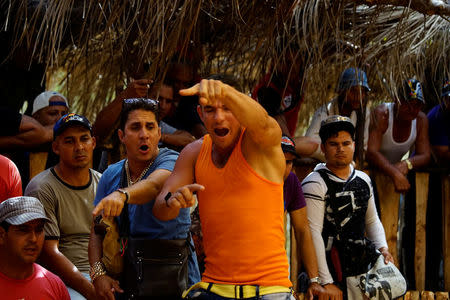 Cockfighting enthusiasts react during a fight at a cockfighting arena in Moron, central region of Ciego de Avila province, Cuba, February 16, 2017. REUTERS/Alexandre Meneghini 