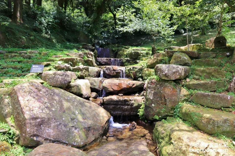 三峽熊空茶園