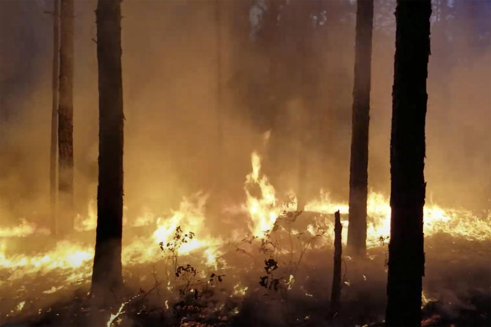 A prescribed burn takes place May 15, 2020, in North Carolina. Groups of private landowners known as prescribed burn associations are cropping up throughout the South to prevent uncontrollable wildfires, and proving key to conservationists' effort to restore a fire-dependent longleaf pine range. (Courtesy of Keith Tribble via AP)
