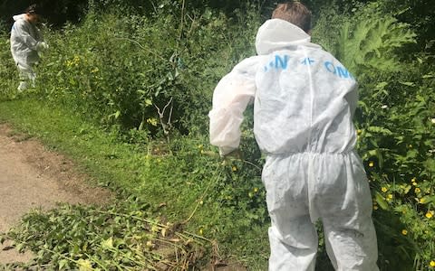 Collecting nettles at Highgrove