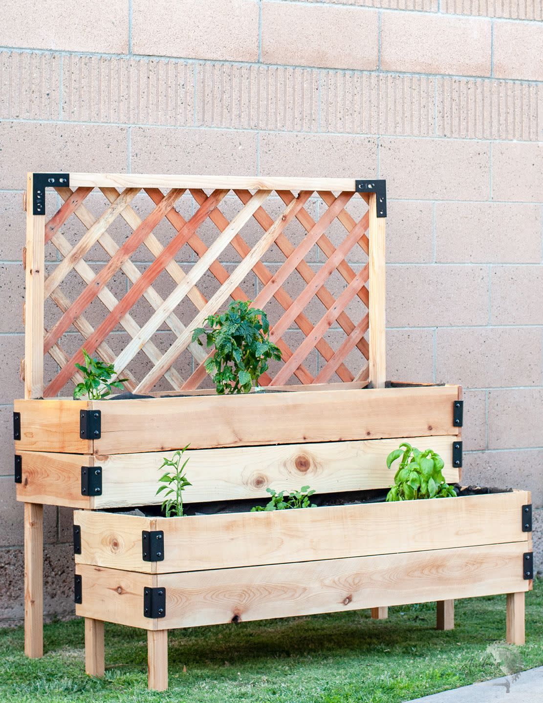 raised bed ideas