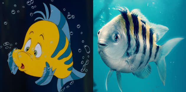 Flounder as he appears in the 1990 The Little Mermaid animation, and the 2023 live action remake