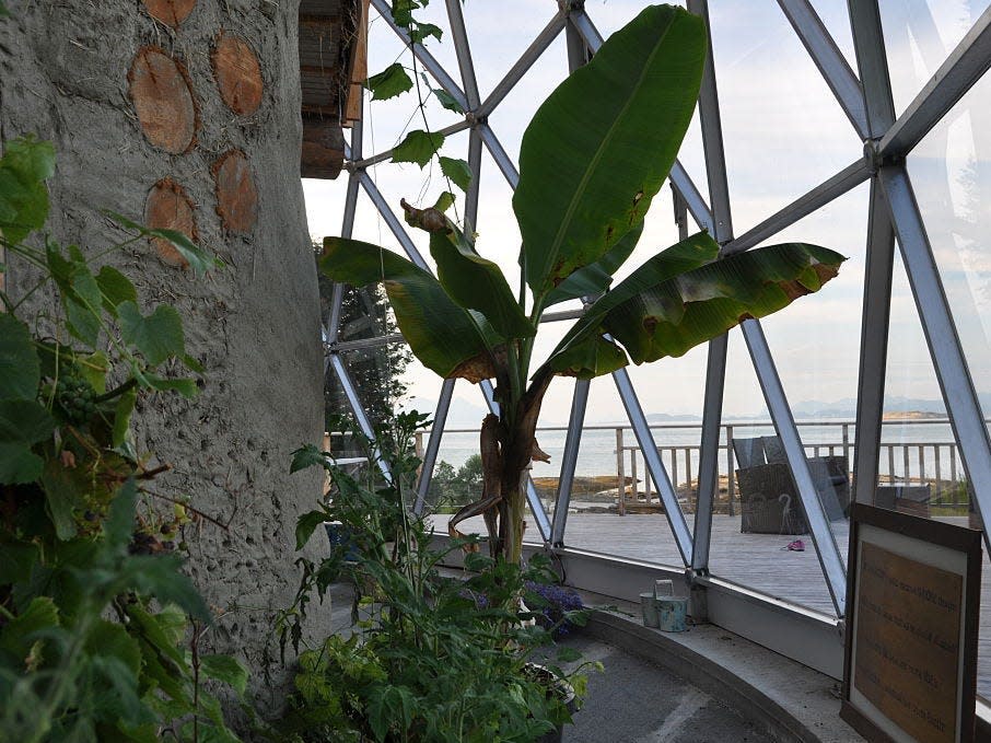 plants growing inside the norwegian family off grid home