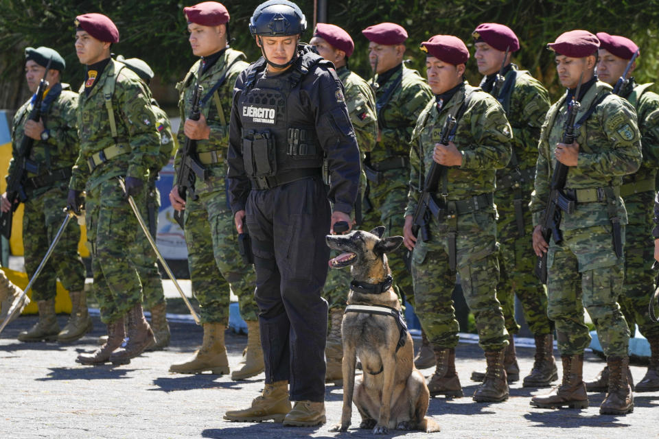 El perro Dayco se prepara para recibir una medalla en una ceremonia de reconocimiento por su labor como parte de una brigada de inteligencia militar en Quito, Ecuador, el lunes 3 de junio de 2024. (AP Foto/Dolores Ochoa)