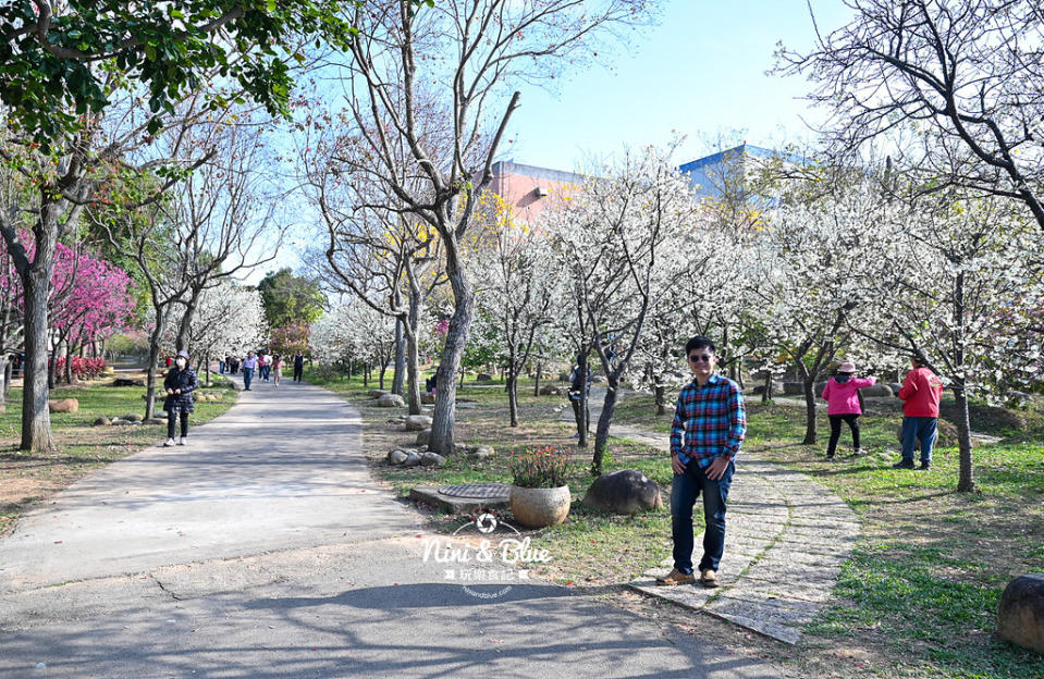 台中｜中科崴立櫻花公園