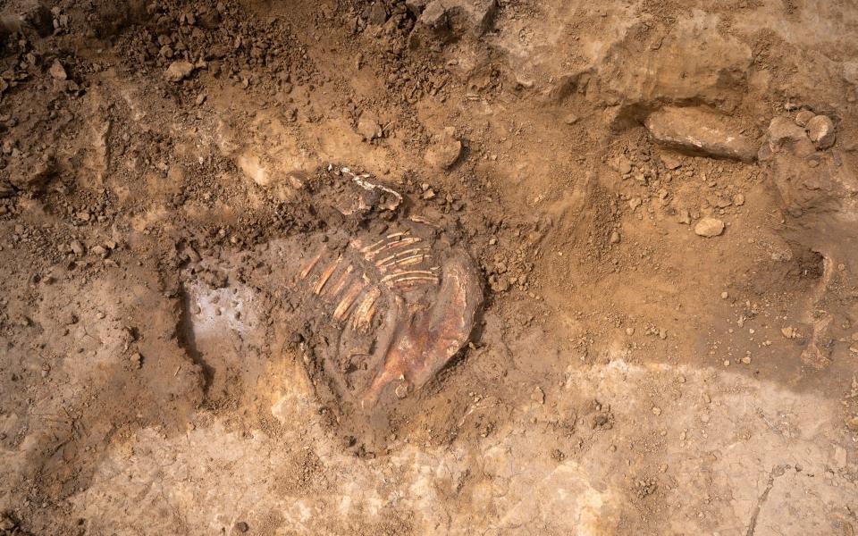 Experts at the Mont Saint-Jean farm dig sit, said it was too early to confirm the nationality of their latest find - chris van houts@me.com 