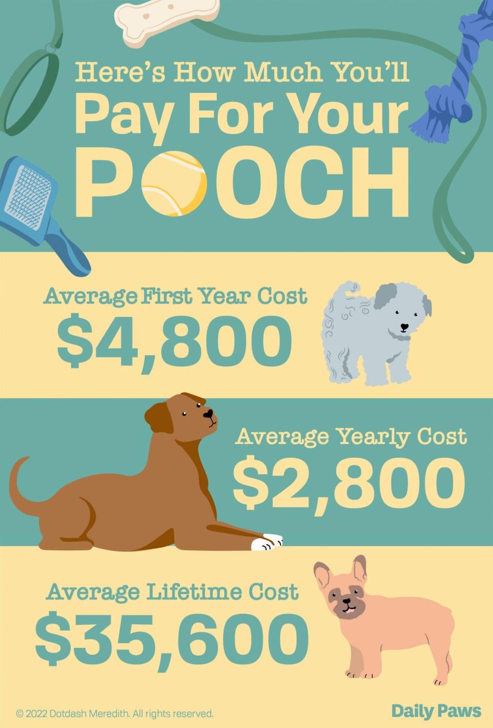 Infographic showing first year, annual, and lifetime average costs of a dog