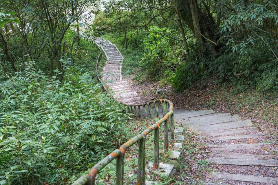 特富野古道陡下的枕木階梯（圖片來源：阿里山國家風景區管理處）