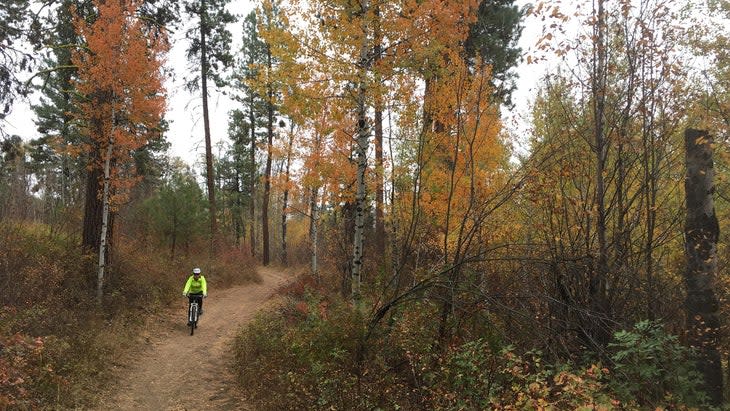 <span class="article__caption">Jill LaRue of Cashmere, Washington, bikes in autumn colors in the Methow.</span> (Photo: Alison Osius)