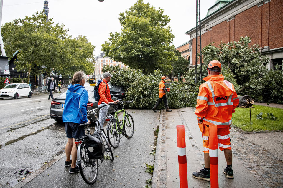 A tree lies on the ground close to the amusement park Tivoli after falling following a heavy storm, in Copenhagen, Monday, Aug. 7, 2023. Stormy weather on Monday was reported across the whole Baltic Sea region with scattered reports of trees being knocked down, ferry connections being suspended, delays in airports or planes being rerouted, power outage and lots of rain. No casualties were reported. (Nils Meilvang/Ritzau Scanpix via AP)