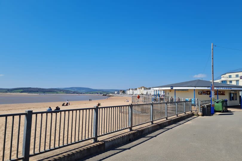 Exmouth beach -Credit:Mary Stenson/DevonLive