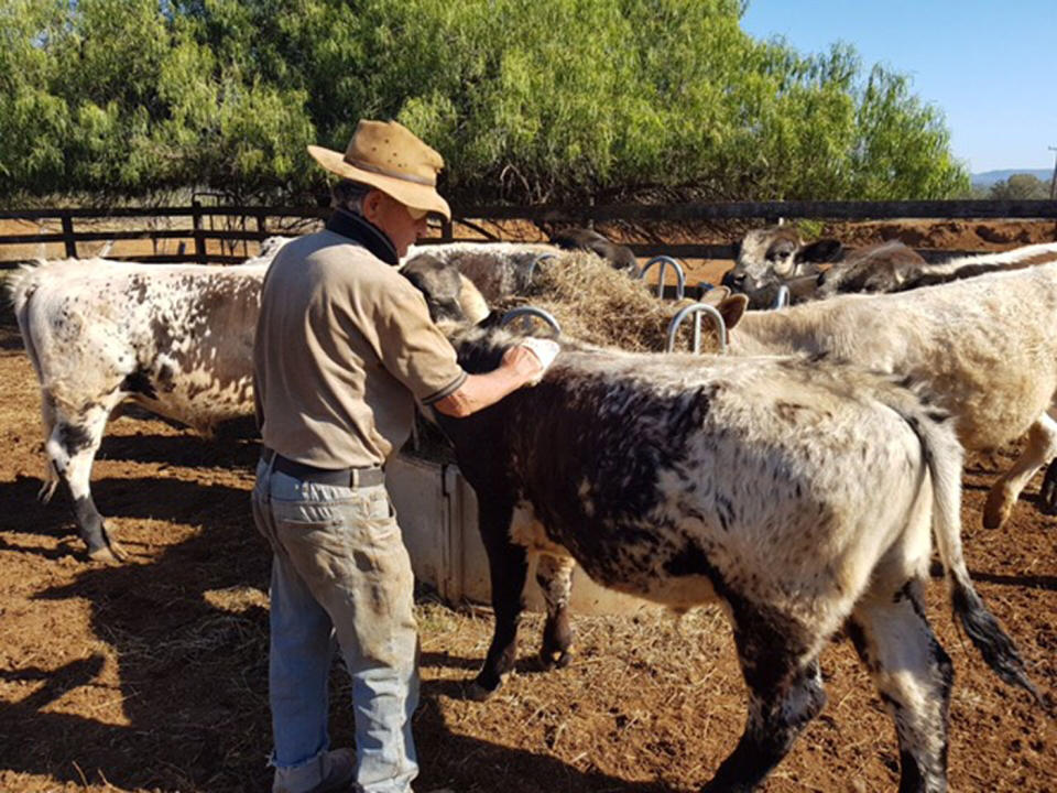 Ms King says the drought “snuck up” on the family a few years ago. Photo: Supplied