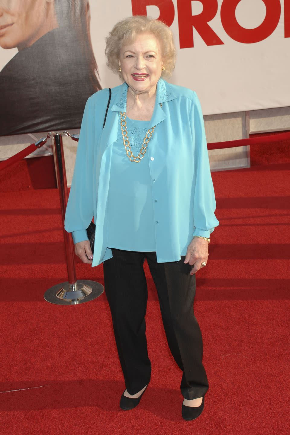 <p>Betty mostly made a name for herself in television throughout her career. However, in the late 2000s, she began appearing in film more frequently. From <em>The Proposal</em> to <em>You Again</em>, it wasn't long before a whole new generation became Betty White fans.</p> 