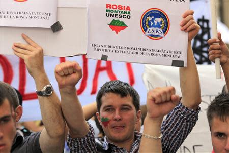 A student holds up a sign during a demonstration against the opening of the Rosia Montana open cast gold mine in Bucharest September 1, 2013. REUTERS/Radu Sigheti