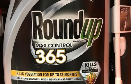 Monsanto Co's Roundup is shown for sale in Encinitas, California, U.S., June 26, 2017. REUTERS/Mike Blake