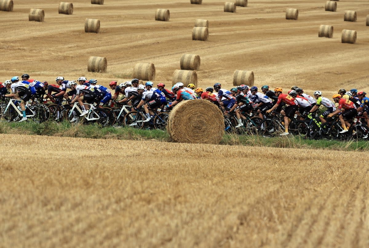 The Tour de France is held annually over three weeks  (EPA)