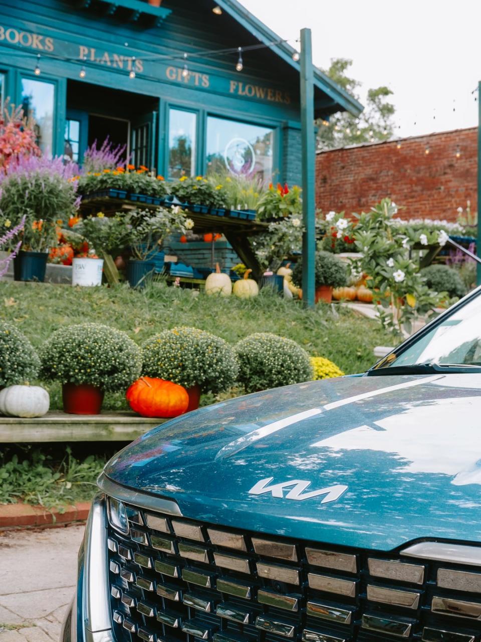 kia hood with garden store in the background