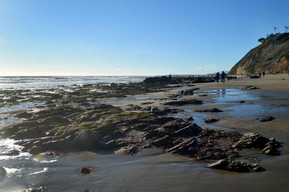 Arroyo Burro Beach in Santa Barbara, California.