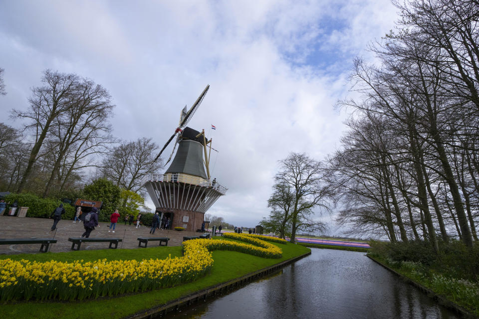 Tourists pose for pictures at the world-renowned Dutch flower garden and showcase, the Keukenhof in Lisse, Netherlands, Thursday, April 13, 2023. More than a million people visited the Keukenhof in 2022. Rain or shine, there is no way to keep budding flowers down. And from the world-famous Keukenhof in the Netherlands to the magical bluebell Hallerbos forest in Belgium, they are out there again, almost in cue to enthrall, enthuse and soothe the mind. All despite the cold and miserable early spring in this part of Western Europe. (AP Photo/Peter Dejong)