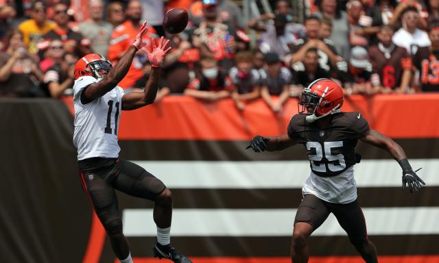 LOOK: Donovan Peoples-Jones makes incredible catch in NFL preseason