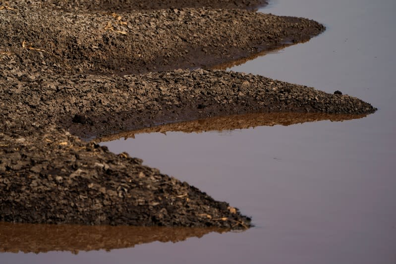 A waste collection pond is shown at a dairy farm in Pixley, California