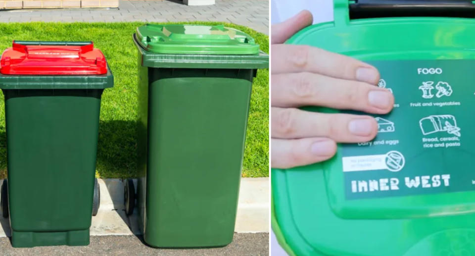 The red rubbish bin and large green wheelie bin. Right is the green FOGO bin handed out to residents in Sydney's inner west.