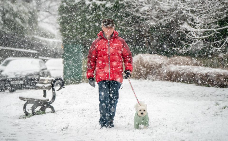 A man walks his dog in the snow in North Yorkshire (PA)