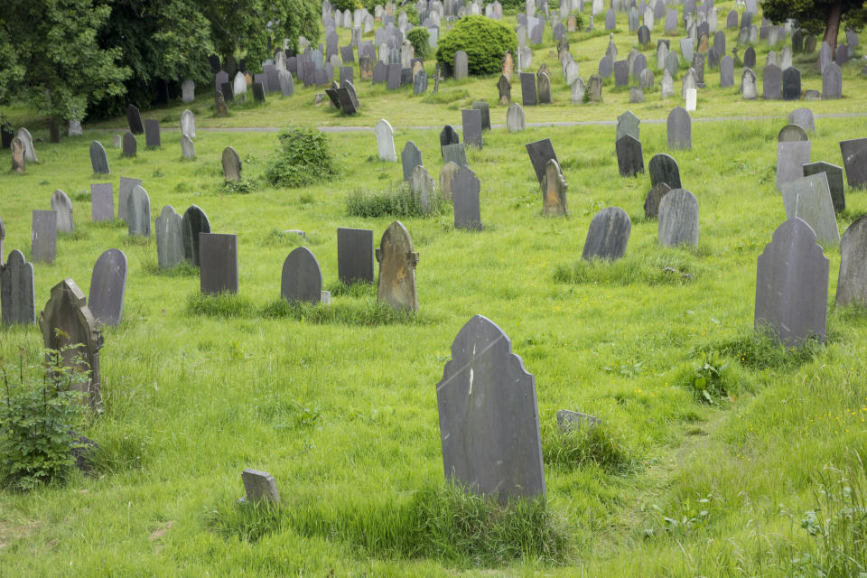 Grassy cemetery with numerous tombstones of various shapes and sizes scattered throughout