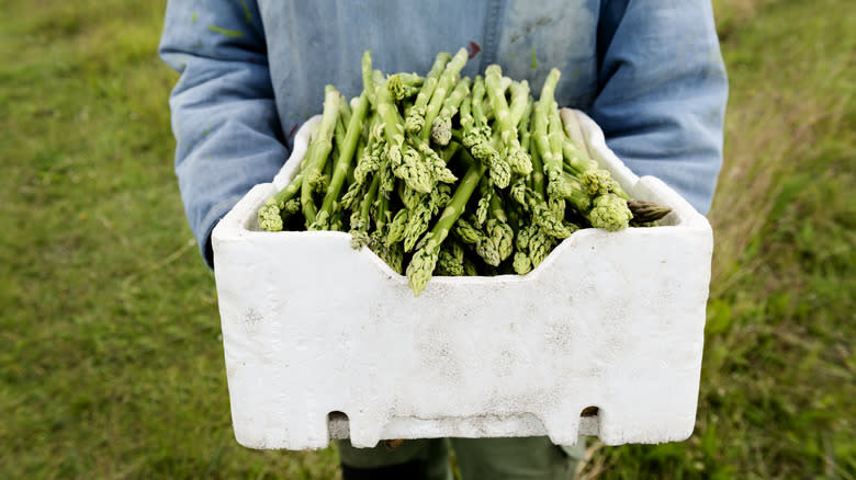 person holding box of asparagus