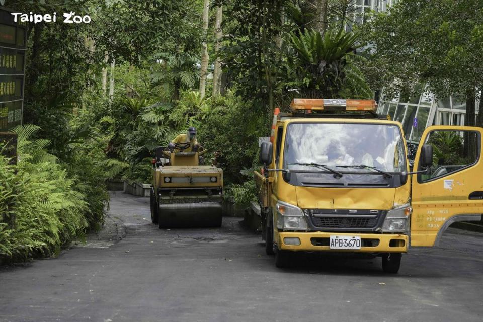 遊客參觀道路柏油銑鋪。（北市動物園提供）