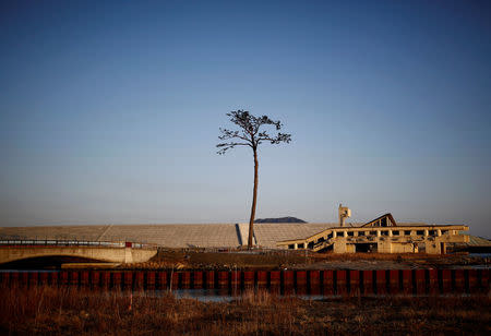 'Miracle Pine', a tree which is said to symbolise hope and recovery after it survived the 2011 tsunami, stands next to a damaged building in front of the newly built seawall in Rikuzentakata, Iwate Prefecture, Japan, March 3, 2018. REUTERS/Kim Kyung-Hoon