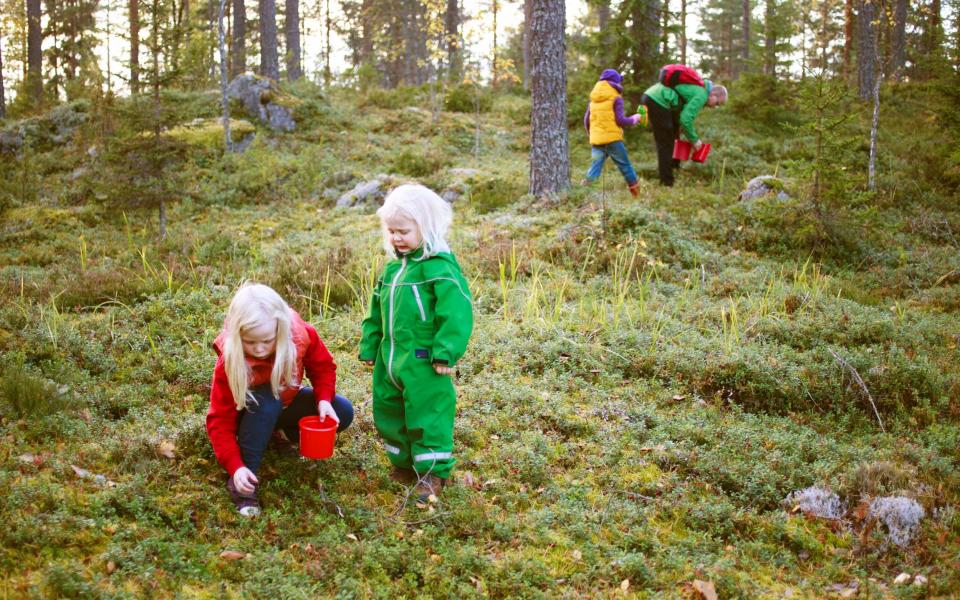 Everyone has the right to roam and forage in Finland