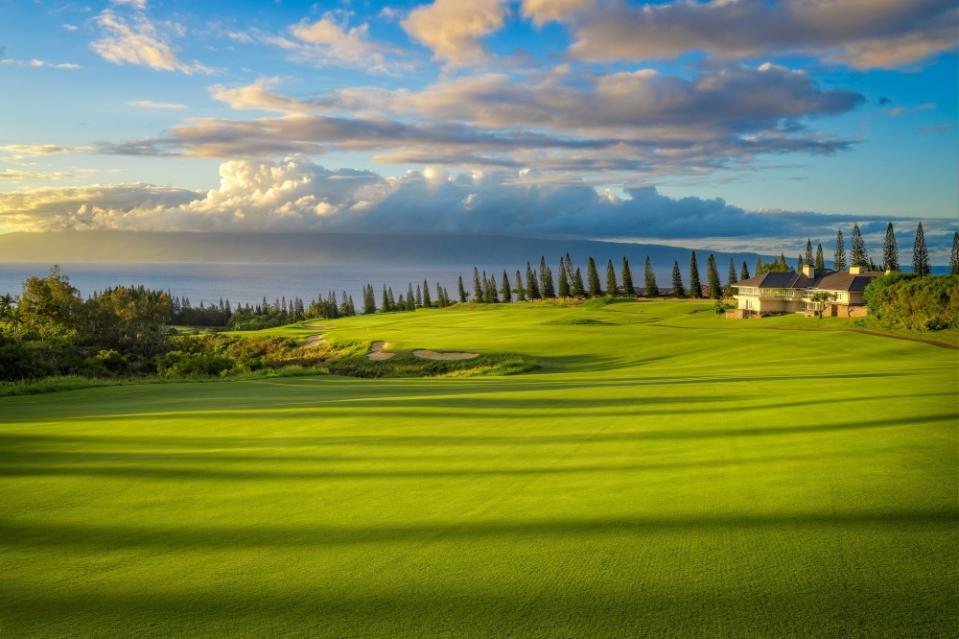 Kapalua Plantation