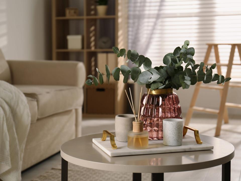 Bunch of eucalyptus branches and oil diffuser on table in living room.