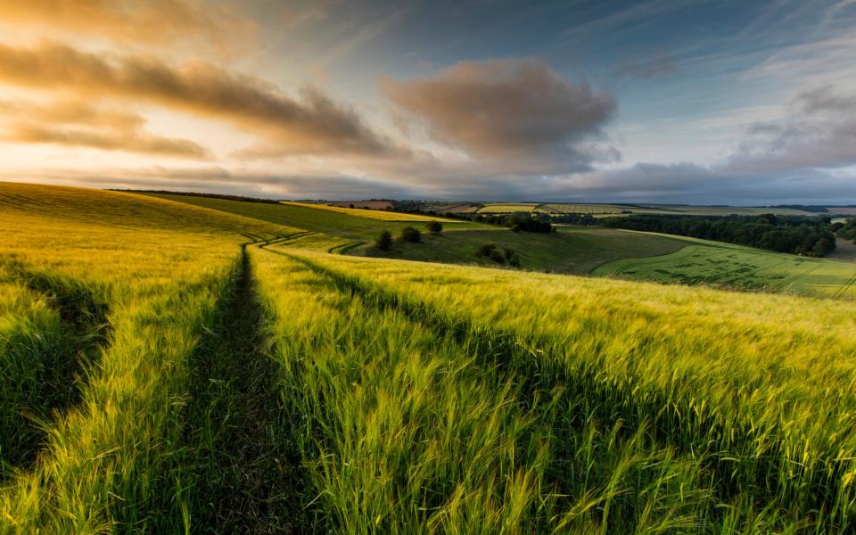 Lincolnshire Wolds