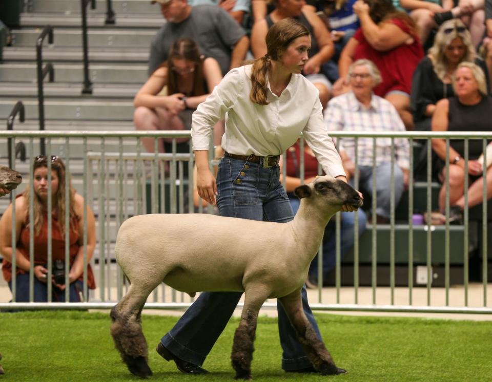 Ella Carlson guides her sheep around the course at the 2022's 4-H Supreme Livestock Showmanship, Thursday, July 21, 2022, at the Tippecanoe County 4-H Fairgrounds in Lafayette, Ind.