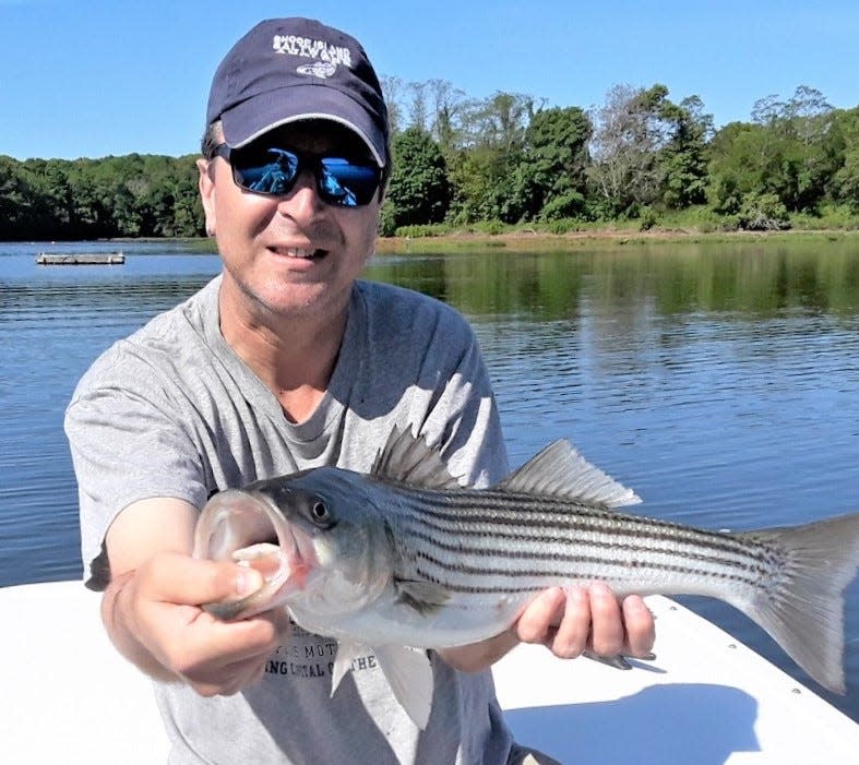 Steve Brustein of Warwick with an early spring striped bass caught in Greenwich Cove.